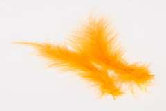 5 Plumas marabu