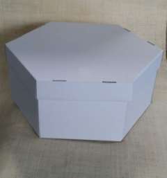  Blancas 59x27cm