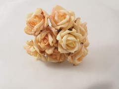 ROSAS FOAM 2,5 cm