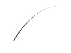 Raquis  50-55 cm aprox.