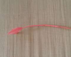 Turkey arrow  20-30 cm