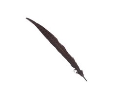 Plumas faisán 40-45 cm 