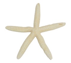 Estrellas