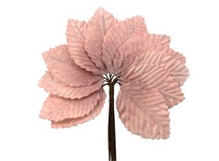 12 Velvet leaves (4 x 6 cm.)