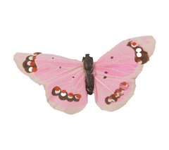 Mariposas de plumas rosas
