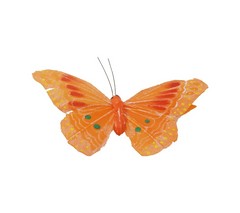 Mariposas de plumas naranjas