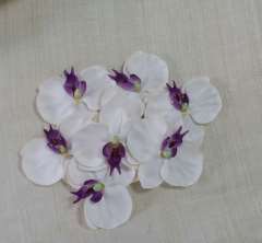 8 Orchid heads  9cm