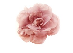 silk-velour rose17cm aprox