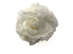 Rosa seda-terciopelo 17cm aprox
