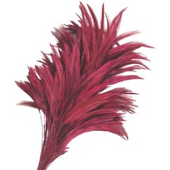 Pomo plumas cuello de gallo 