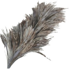 Pomo plumas cuello de gallo 
