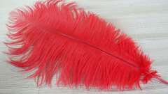 Ostrich feather 30 cm aprox.