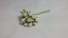 12 ROSITAS PITIMINI