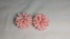 2 DALIAS 6 cm aprox.