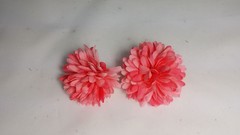 2 DAHLIAS 6 cm approx.