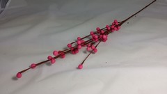 RAMA FRUTOS DE PAPEL