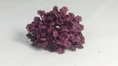 Pomo hortensia petalo mini 12 cm aprox.