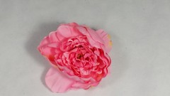 Flor Alba 15 cm aprox.