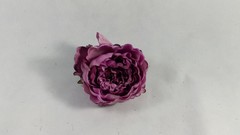 Flor Alba 15 cm aprox.