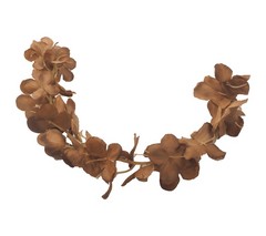 Rama pétalos de hortensia