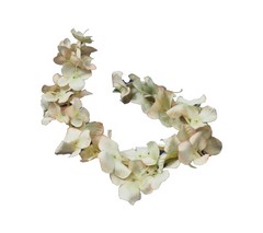 Rama pétalos de hortensia
