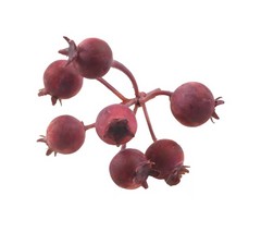 Pomo GRANADAS