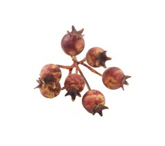 Pomo GRANADAS