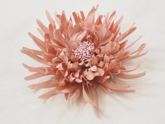 Flor Kira
