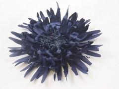 Flor Kira