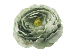 Flor Nenur