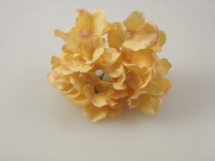 Hortensia grande