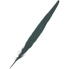 Pluma Faisán 25-30 cm.