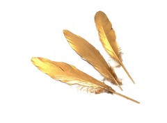 3 Plumas de Gallo Doradas de 20-25 cm aprox.