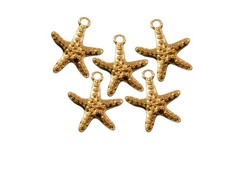 Estrellas de mar pequeñas