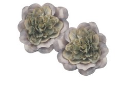 Flor Benny