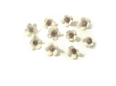 Mini flor 10 und.