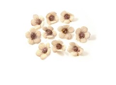 Mini flor 10 und.