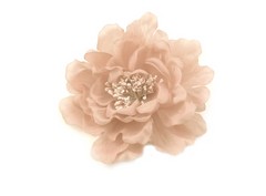 Flor Lidia