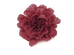 Flor Lidia