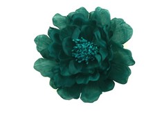 Flor Lidia
