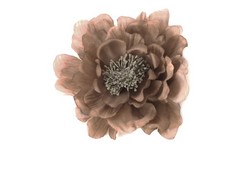 Flor Lidia