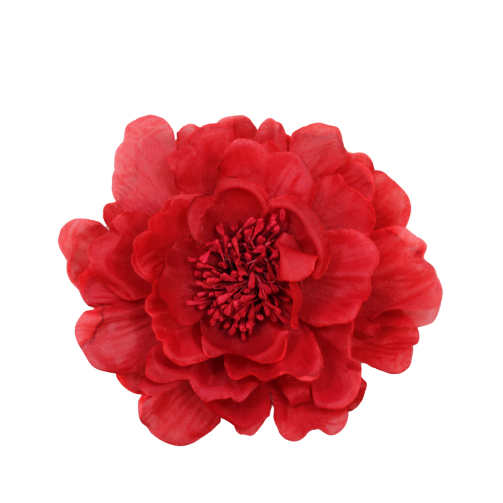 Flor Lidia