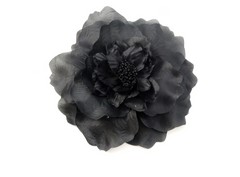 Flor Adriana