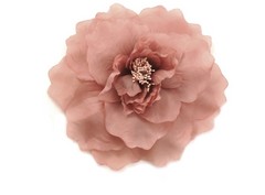 Flor Adriana
