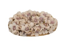 Prendido flores mini