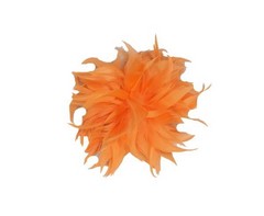 Flor Maya
