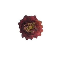 Flor Zulia
