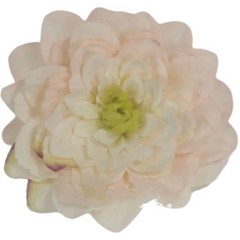 Flor Zulia