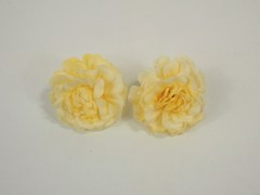 Flor Tami