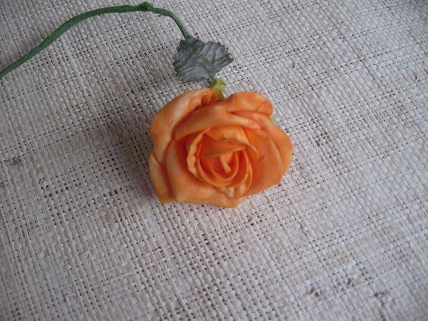  foam roses 5 cm